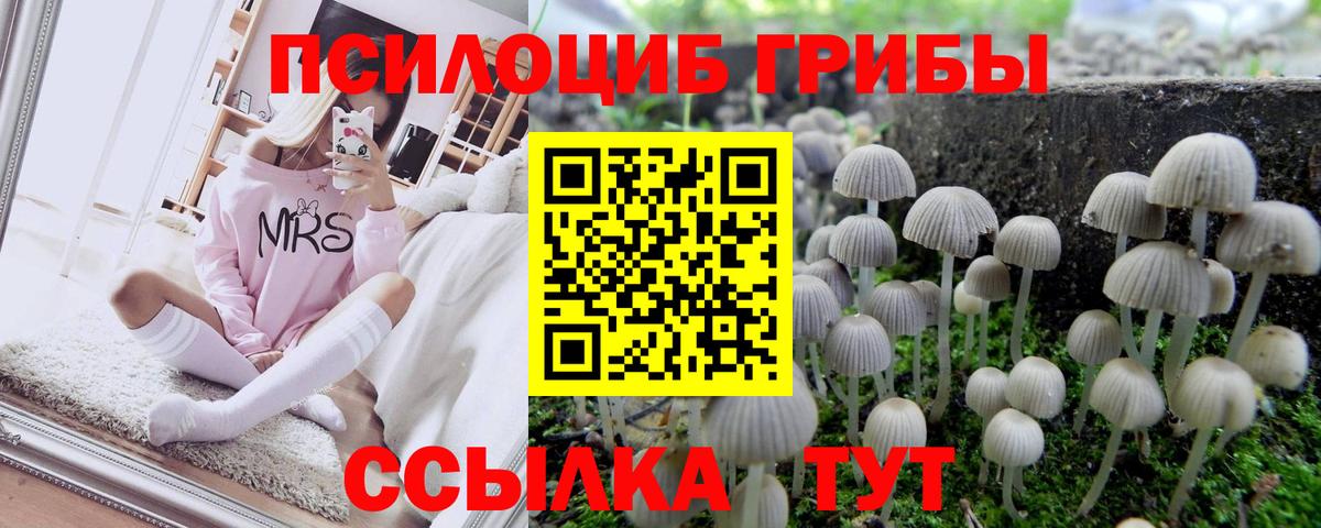Тамбов  Псилоцибиновые грибы Psilocybine cubensis  Галлюциногенные грибы Cubensis  Вход с VPN 